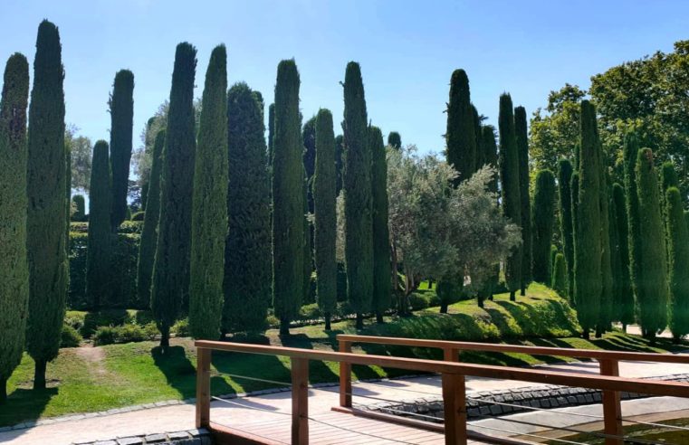 El Bosque del Recuerdo: un tributo a las víctimas del 11-M en el Parque del Retiro de Madrid