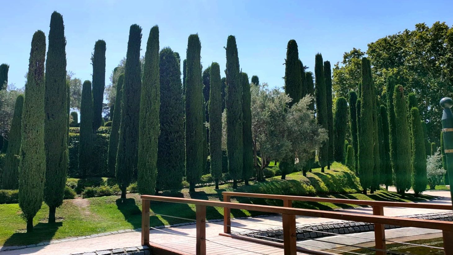 El Bosque del Recuerdo: un tributo a las víctimas del 11-M en el Parque del Retiro de Madrid