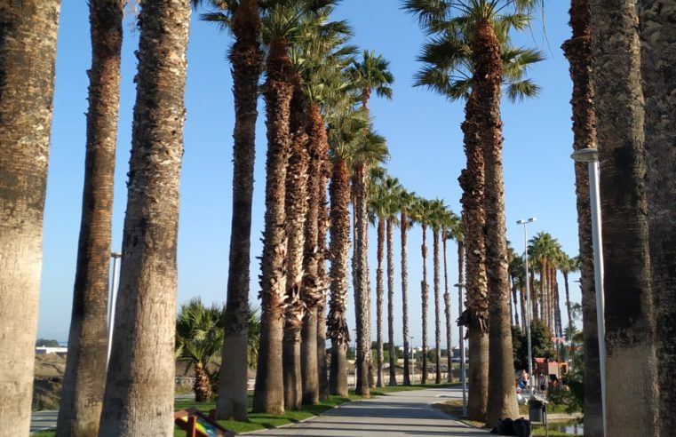 El Parque de los Pueblos de América: un pulmón verde en el corazón de Motril