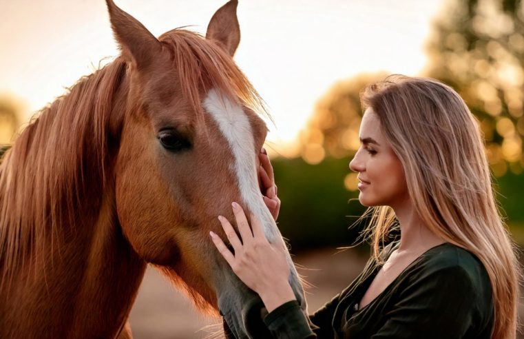 El vínculo entre humanos y animales: una relación milenaria que persiste en el tiempo